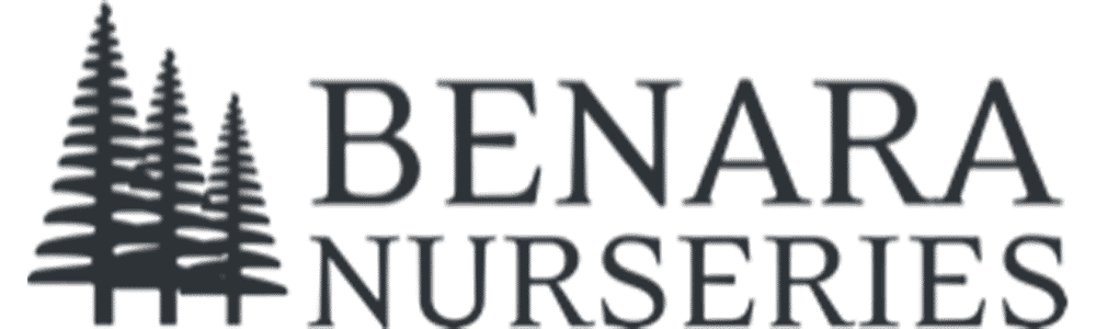 Benara Nurseries Logo