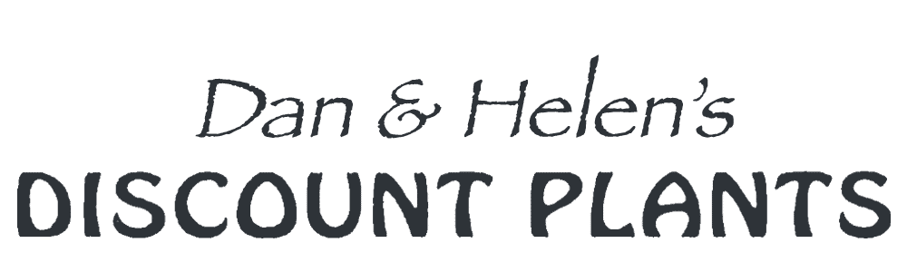 Dan & Helen's Discount Plants Logo